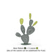Cactus #E1231